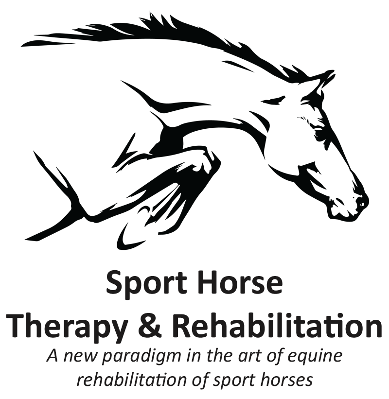 Sport Horse Therapy and Rehabilitation